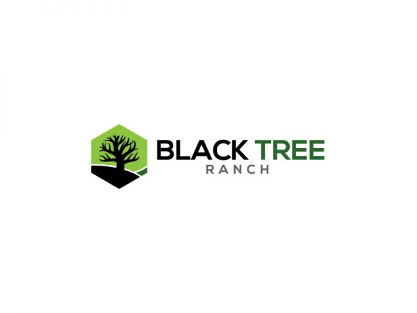 Black-Tree-3