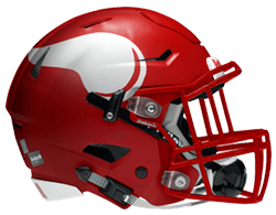Fort Bend Dulles HS football helmet
