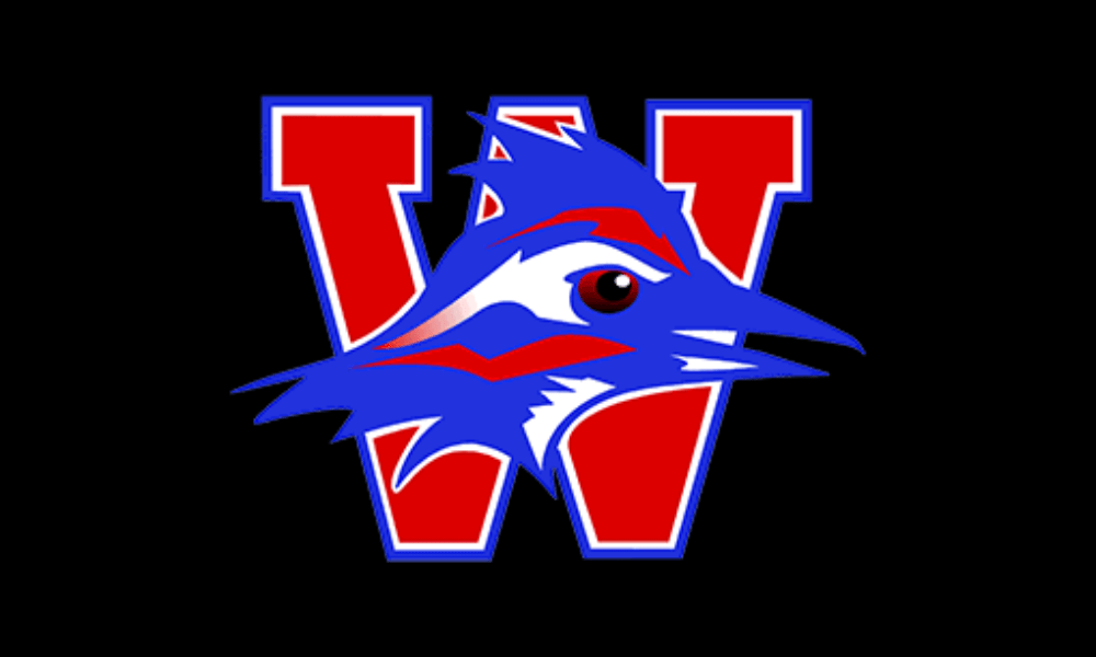 Austin Westlake Chaparrals Dominate Season with 14-1 Record: Key Wins and Standout Players